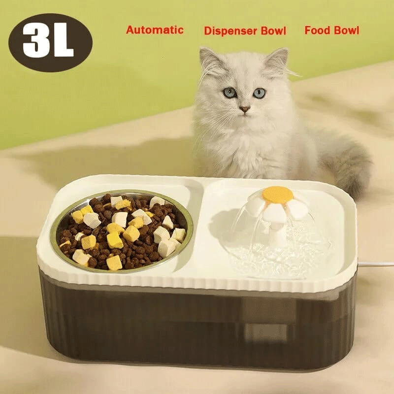 VitalPet