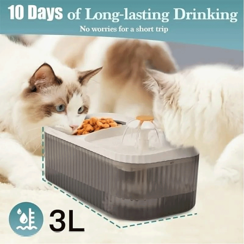 VitalPet